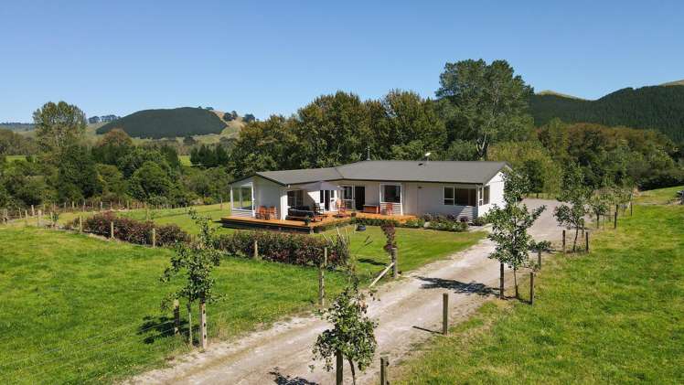 878 Te Kopia Road Waikite Valley_13