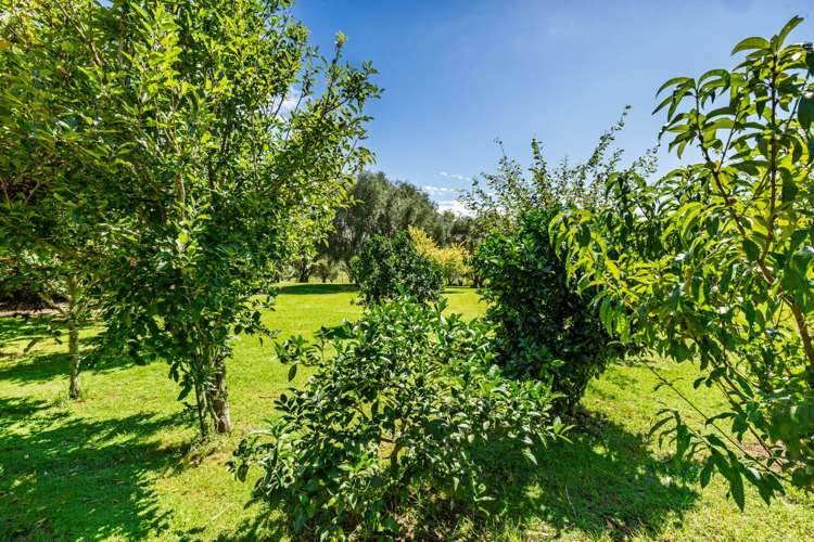 30a Wiroa Road Kerikeri_51