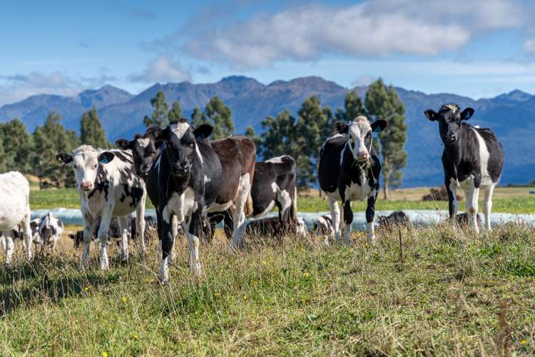 162 Sinclair Road Te Anau_9