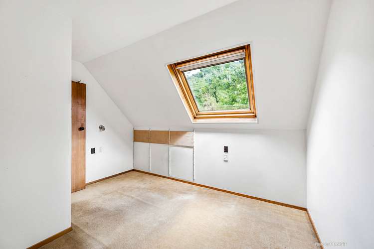 45 Holloway Road Aro Valley_7