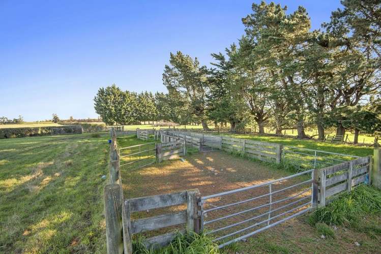 828 Downs Road Hororata_9