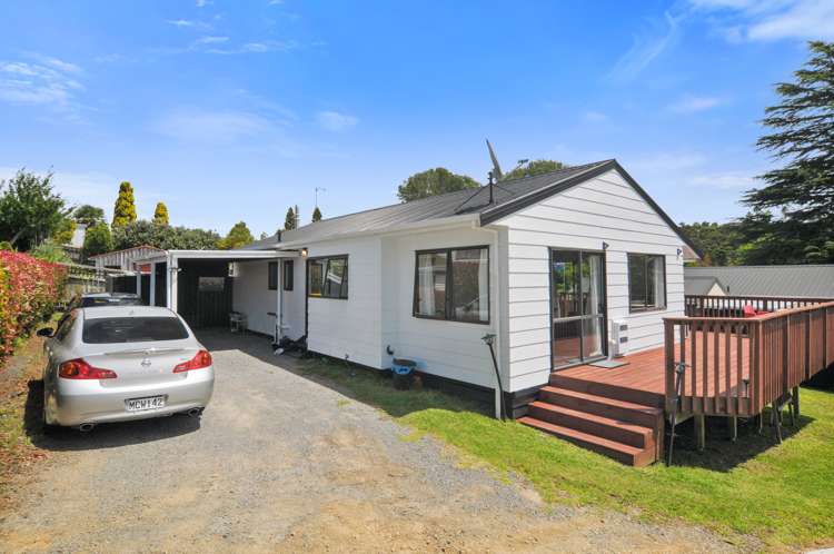 105A Tirohanga Drive_0