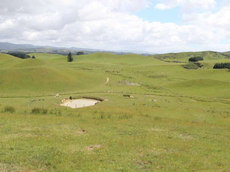 127 North Road Eketahuna_23