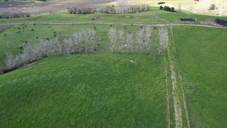 251 Matawaia-Maromaku Road Maromaku_14