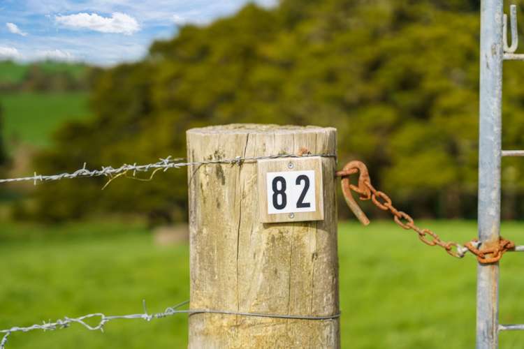 Lot Lots 2 - 4 Pool Road Wellsford_9