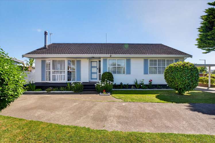 20 Norfolk Street Tamatea_17