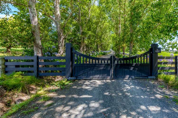 1335 Kahikatea Flat Road Kaukapakapa_25