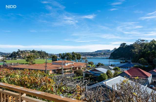 38a Somerville Street Andersons Bay_2