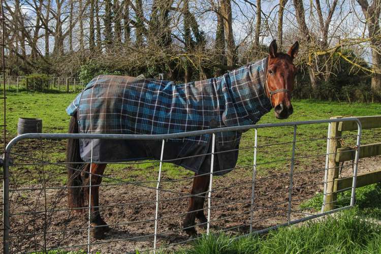 27a Royal Doulton Drive Pukekohe_26