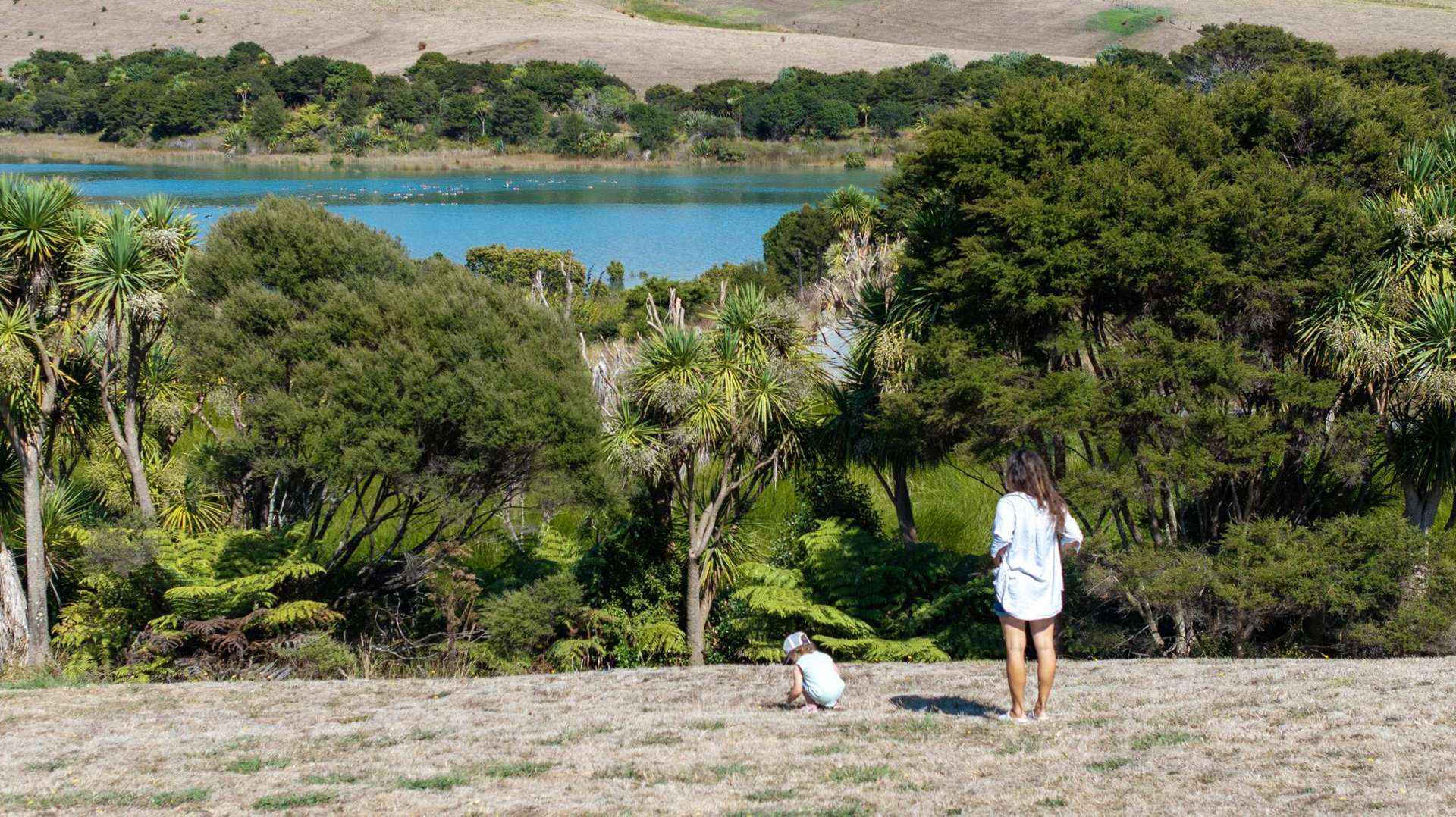 9 Waipatukahu Lane Raglan_0