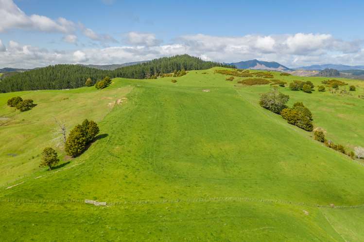 Inkster Road Maromaku_4