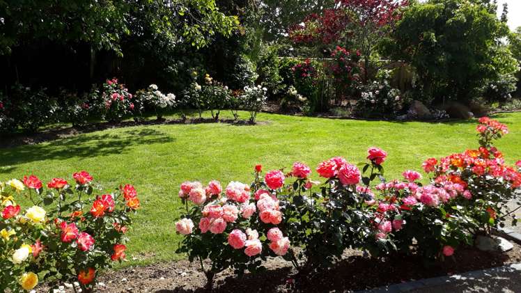 64 Guy Street Dannevirke_17