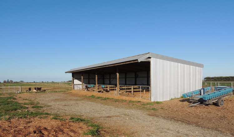 558 Seadown Road Seadown_14