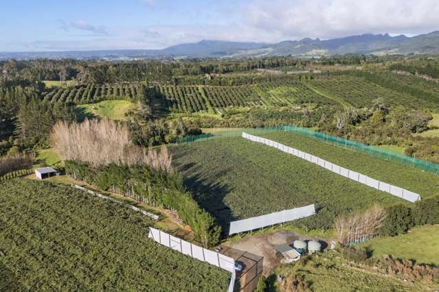 175 Busby Road Katikati_3