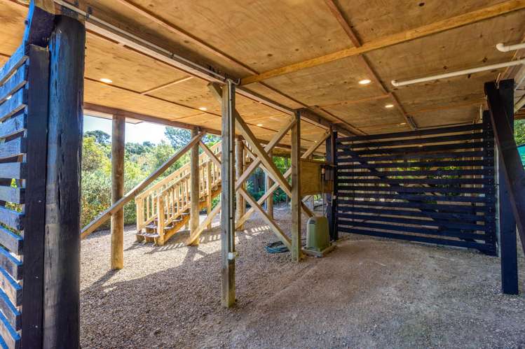 51 Frank Street Oneroa_22