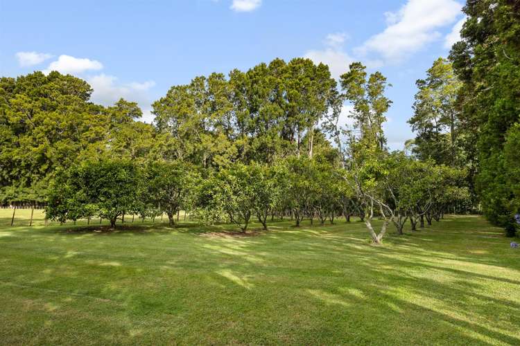 5 Dysart Lane Kumeu_45