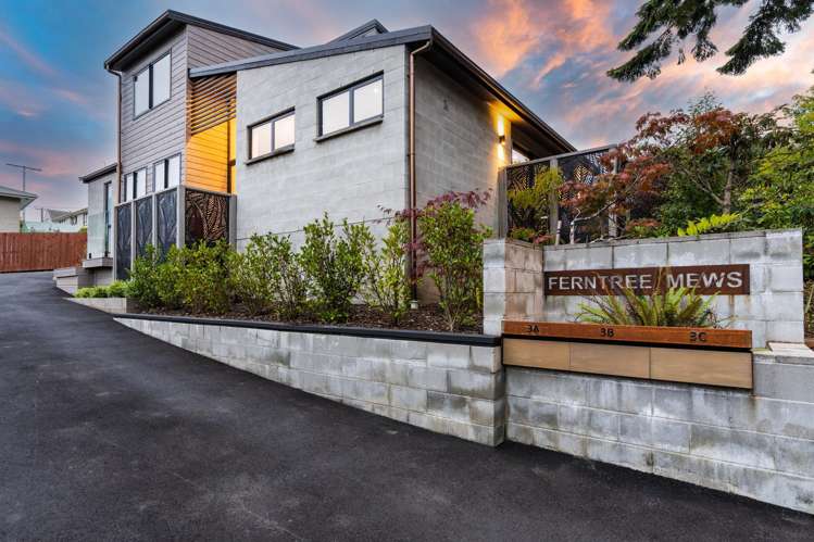 3a Ferntree Drive Wakari_49