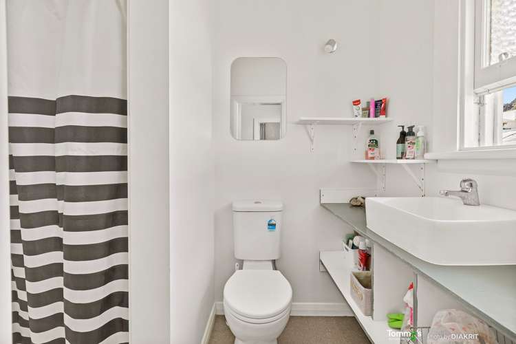 23 Elizabeth Street Mount Victoria_9