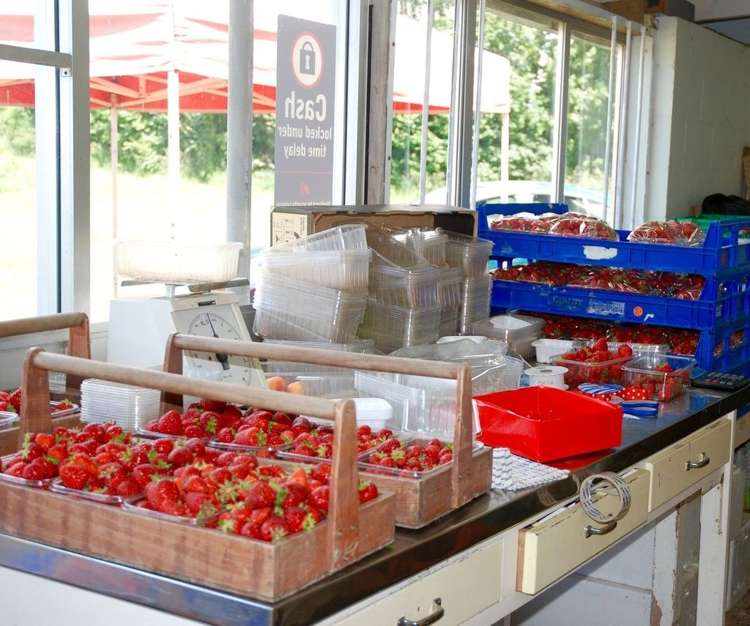 134 Timaru Road Waimate_10