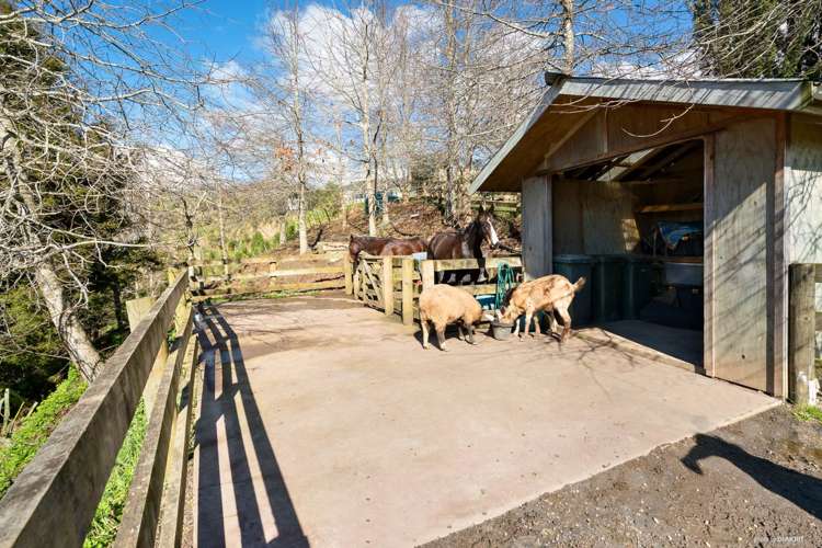 534 Redoubt Road Totara Park_7