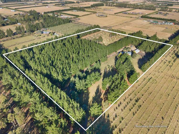 2181D South Eyre Road Eyrewell_22