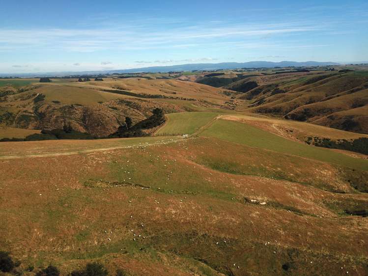 890 Mount Stuart Road Balclutha_18