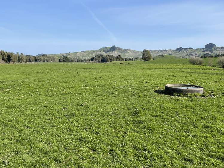 00 Whataroa Road Te Kuiti Waitomo Rural Property For Sale One Roof