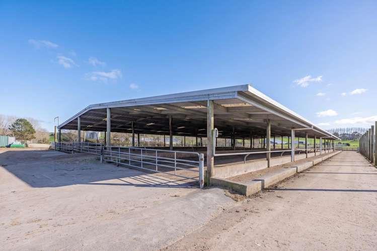 165 McBeth Road Hikuai_8