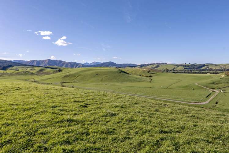 10 Riversleigh Road Glentunnel_15