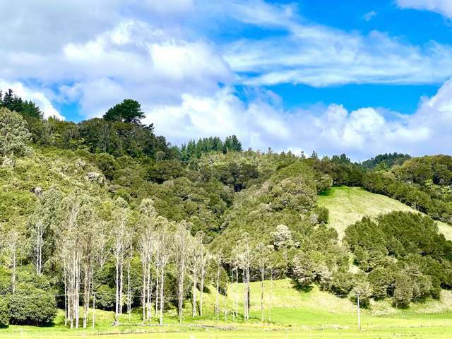 637a Awahou Road Murupara Surrounds_1