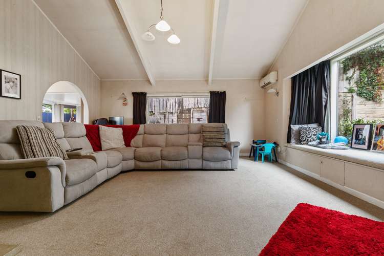165 Ellicott Road Nawton_5