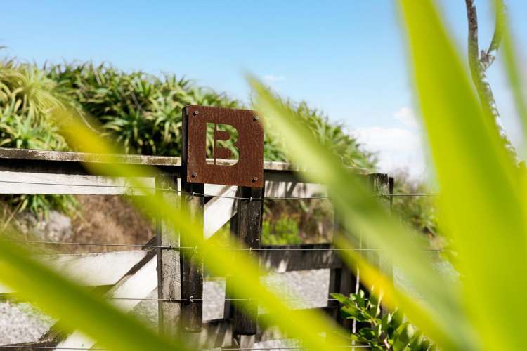 1612B Pakiri Road Pakiri_31