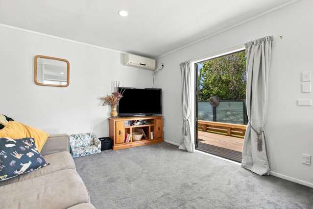 14 Shakespeare Street Te Aroha_2