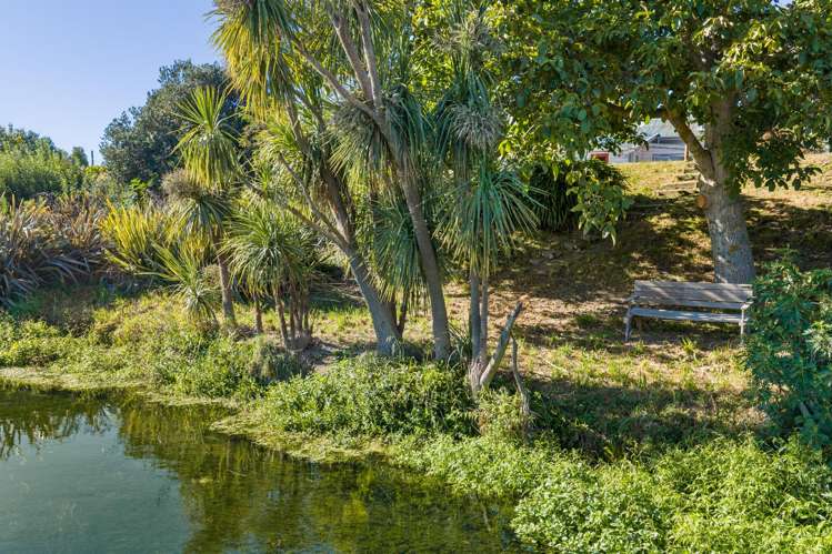 33 Park Terrace Blenheim Central_15