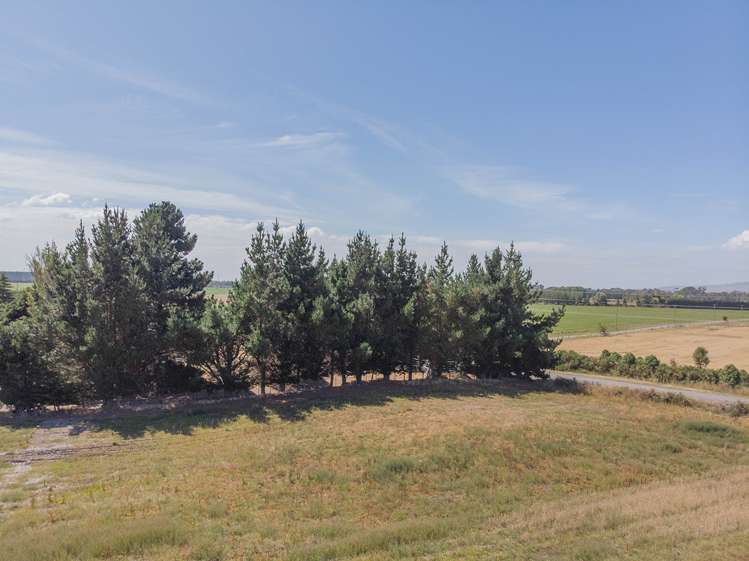 134 Days Road Springston_2