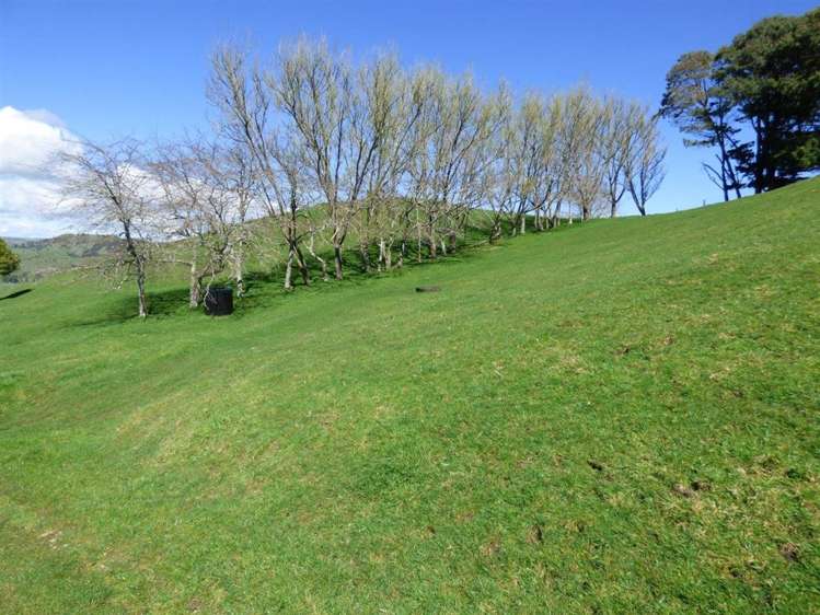 40 Ototoika Road Te Kuiti_22