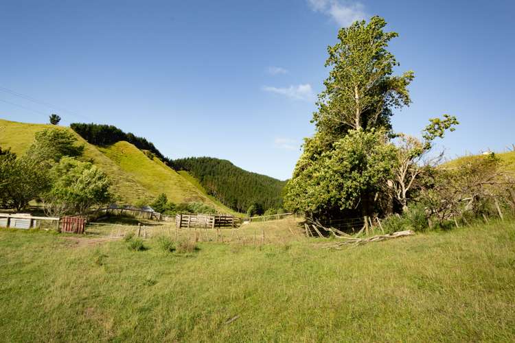 1595 Waingaro Road Glen Massey_18