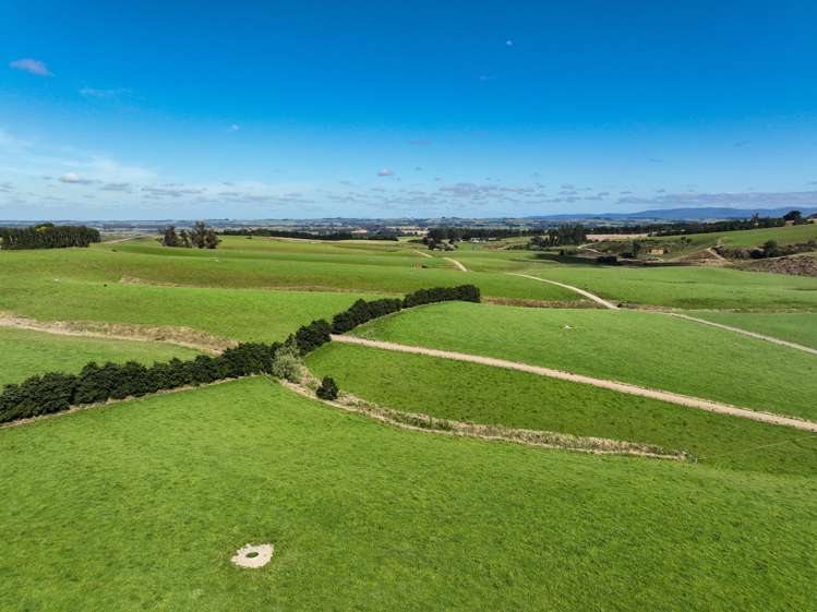 50 Mill Road Gore Surrounds_7