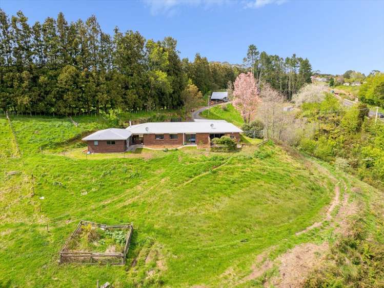 1538 State Highway 2 Whakamarama_23