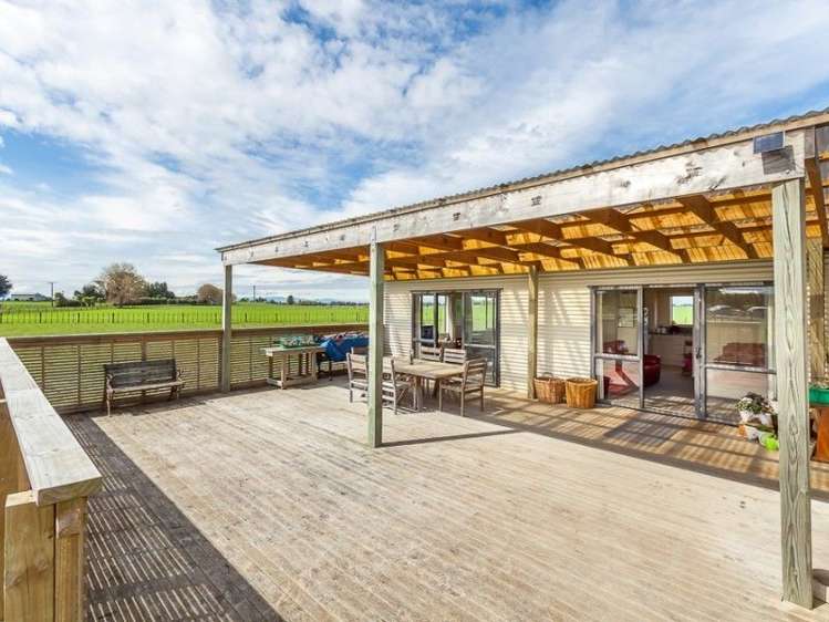 361 Whales Line Marton_3