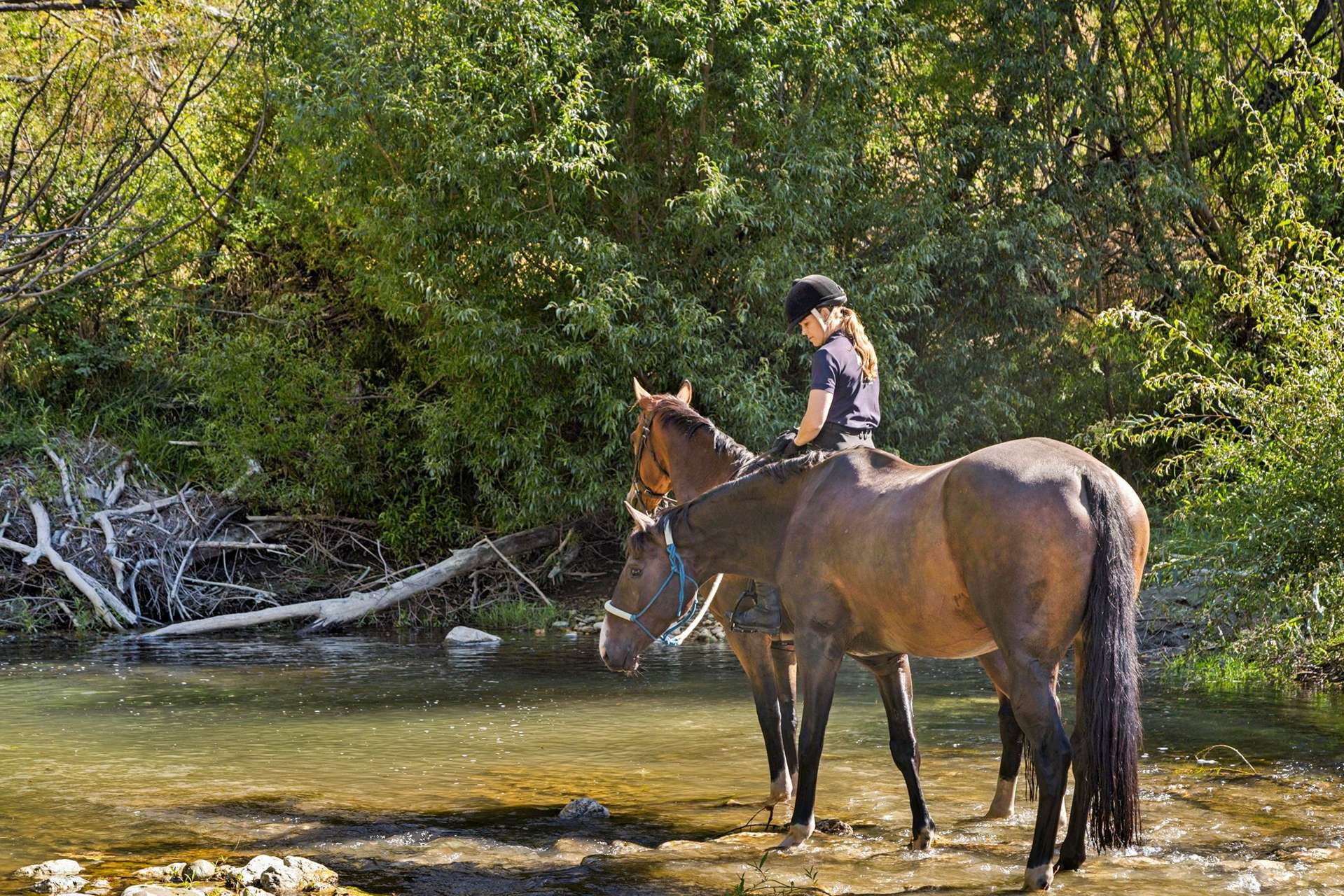 553B Ardgour Road Tarras_0