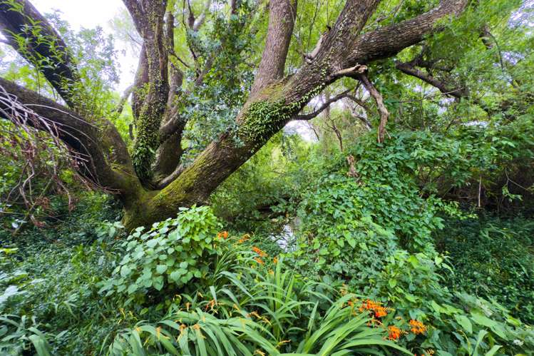 14 Ataahua Place Featherston_28