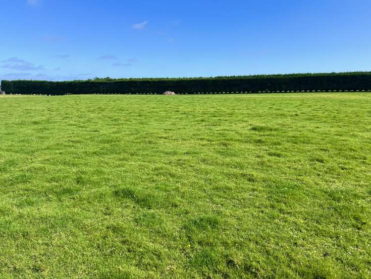 154 Moore Road Lorneville_1