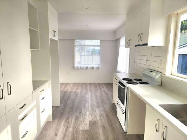 24 Carlisle Street Levin_1