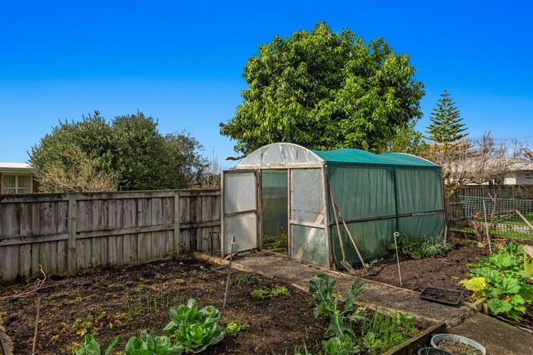 4 Pilkington Place Opotiki and Surrounds_21