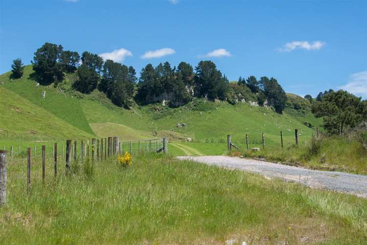1943 Tutukau Road Wairakei and Surrounds_7