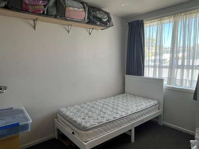 17 Skinner Road Mt Wellington_4