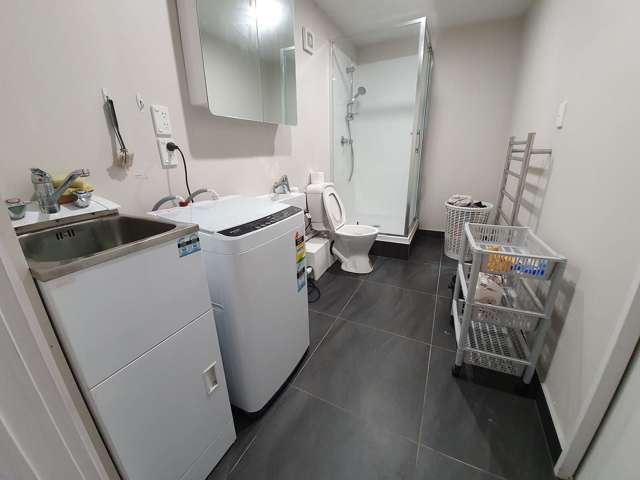 55 Richard Farrell Avenue Remuera_3