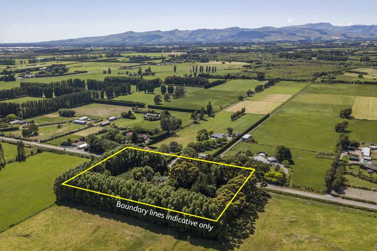 444 Days Road Springston_15