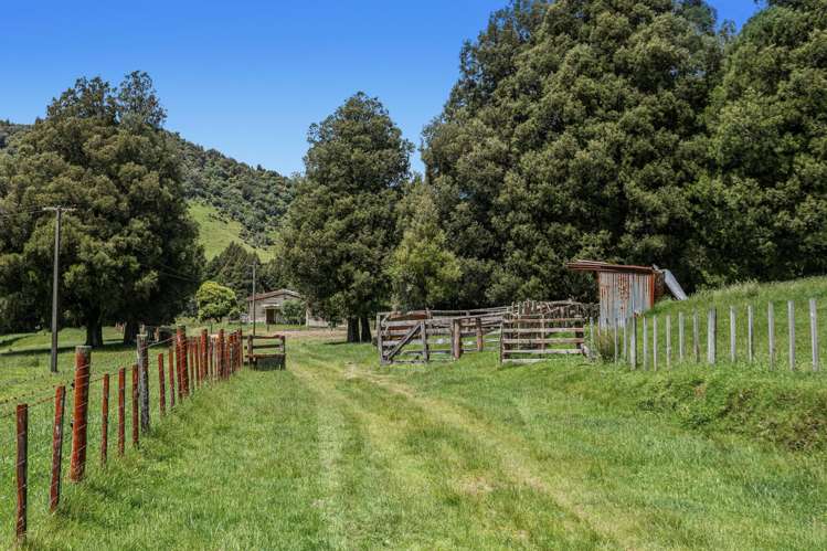 2060 Motu Road Opotiki_30